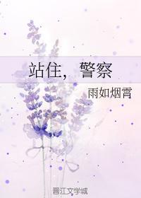 站住，警察