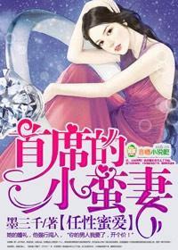 任性婚假,首席的小蛮妻