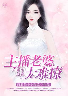 重生追妻，主播老婆太难撩