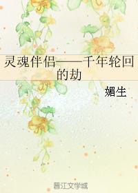 灵魂伴侣——千年轮回的劫
