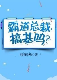霸道总裁,搞基吗?