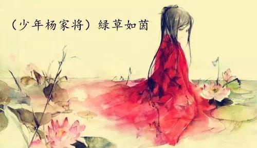 （少年杨家将）绿草如茵