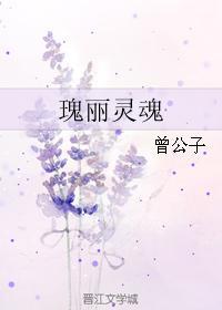 瑰丽灵魂