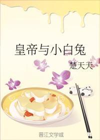 皇帝与小兔叽