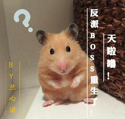 天啦噜!反派BOSS重生了!