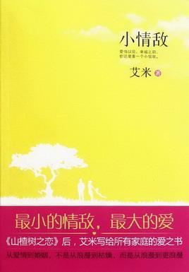 小情敌（出书版）