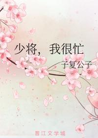 少将，我很忙