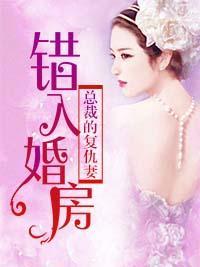 错入婚房:总裁的覆仇妻