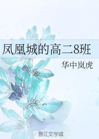 凤凰城的高二8班