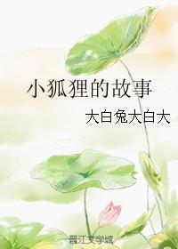 小狐貍的故事