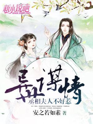 异世谋情：丞相夫人不好惹