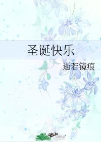 圣诞快乐