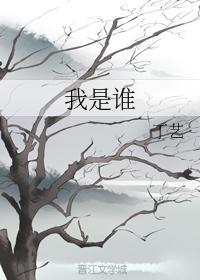我是谁
