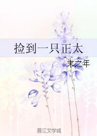 捡到一只正太
