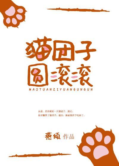 猫团子圆滚滚