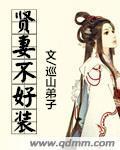 贤妻不好装
