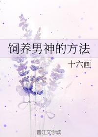 饲养男神的方法