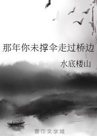 那年你未撑伞走过桥边