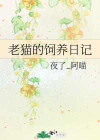老猫的饲养日记