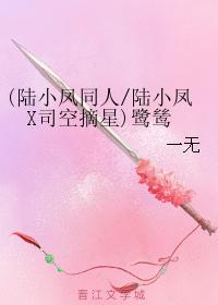 鹭鸶(重修版)