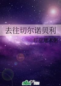 去往切尔诺贝利