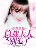 头条新妻：总裁大人别追了