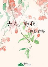 夫人,嫁我!