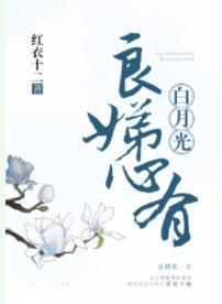 良娣心有白月光