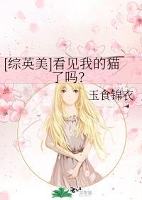 [综英美]看见我的猫了吗？