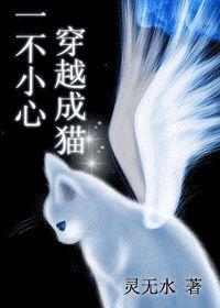 一不小心穿越成猫?