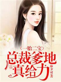 一胎二宝：总裁爹地真给力