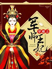 穿越之军师王妃