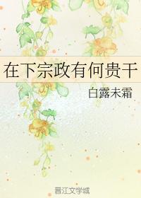在下宗政有何贵干