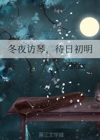 冬夜访琴,待日初明