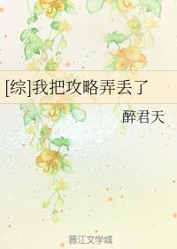 [综]我把攻略弄丢了