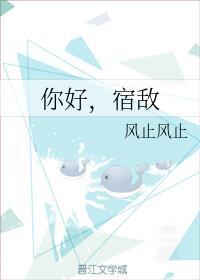 你好，宿敌