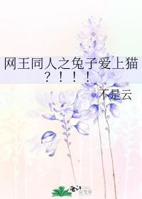 网王同人之兔子爱上猫？！！！