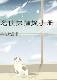 名侦探捕捉手册