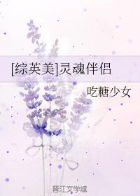 [综美英]灵魂伴侣