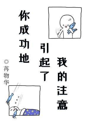 你成功地引起了我的註意