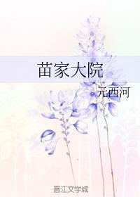 苗家大院