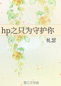 hp之只为守护你