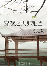 穿越之夫郎难当