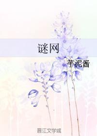 谜网