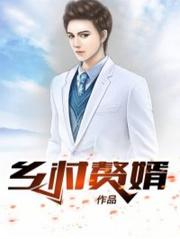 乡村少婿陈凡李清兰