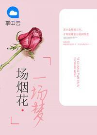 一场烟花，一场梦苏小念陆希楷