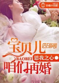 宝贝儿,咱们再婚