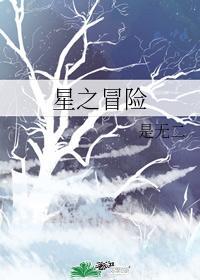 星之冒险