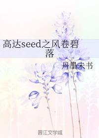 高达seed之风卷碧落