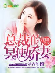 睡睡平安:总裁的冥使娇妻